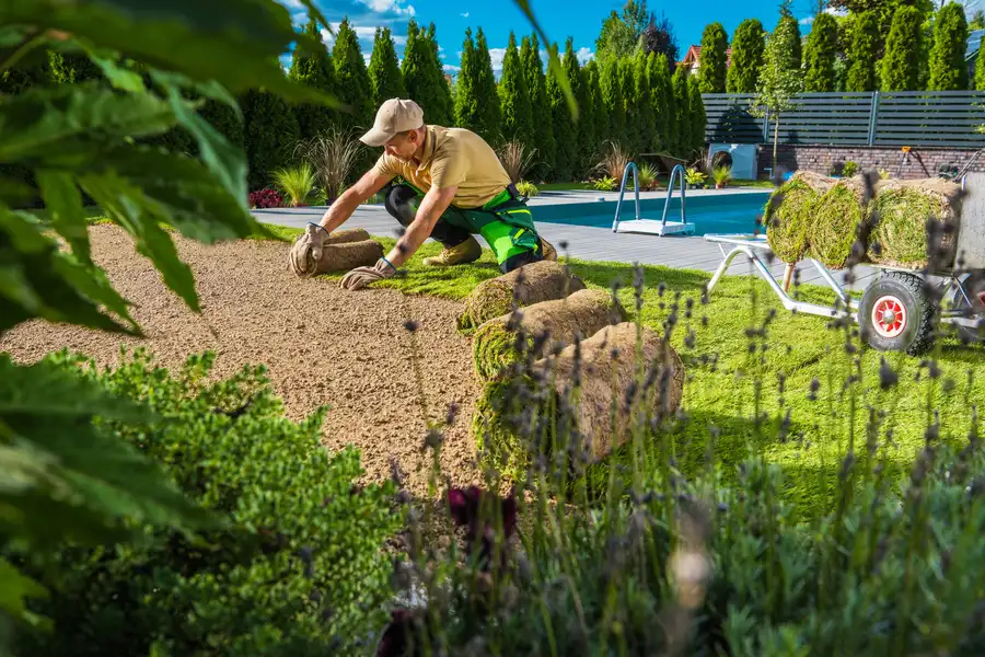 Professional Landscaping Solutions
