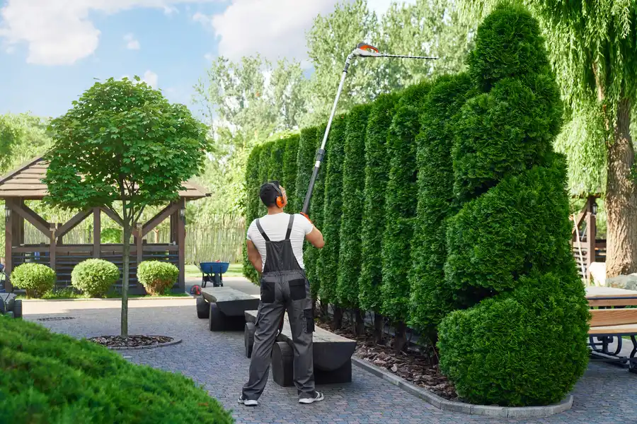 Professional Landscaping Solutions