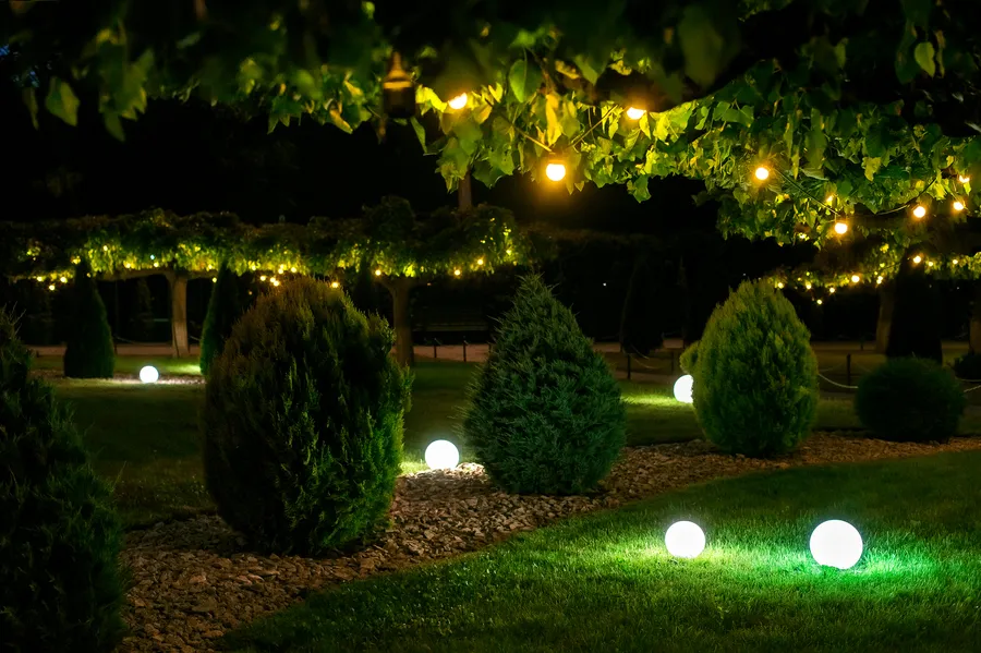 Professional Landscaping Solutions